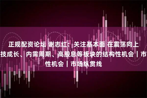 正规配资论坛 谢志红：关注基本面 在震荡向上中把握科技成长、内需周期、高股息等板块的结构性机会｜市场纵贯线
