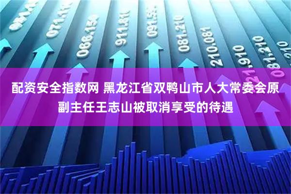 配资安全指数网 黑龙江省双鸭山市人大常委会原副主任王志山被取消享受的待遇