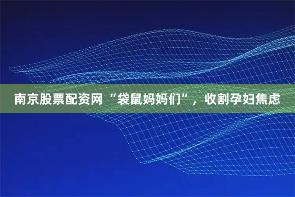 南京股票配资网 “袋鼠妈妈们”，收割孕妇焦虑